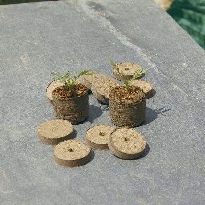 Kókusz ültető tabletta 4cm 20 db