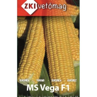 Csemege kukorica MS Vega  F1 100 szem ZK